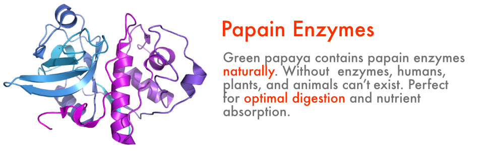 Green Papaya Powder
