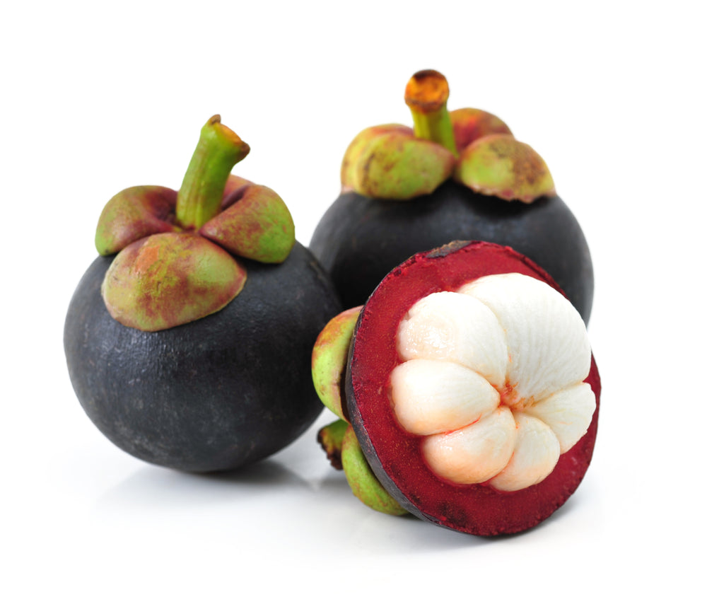 Mangosteen 100% Fruit Powder