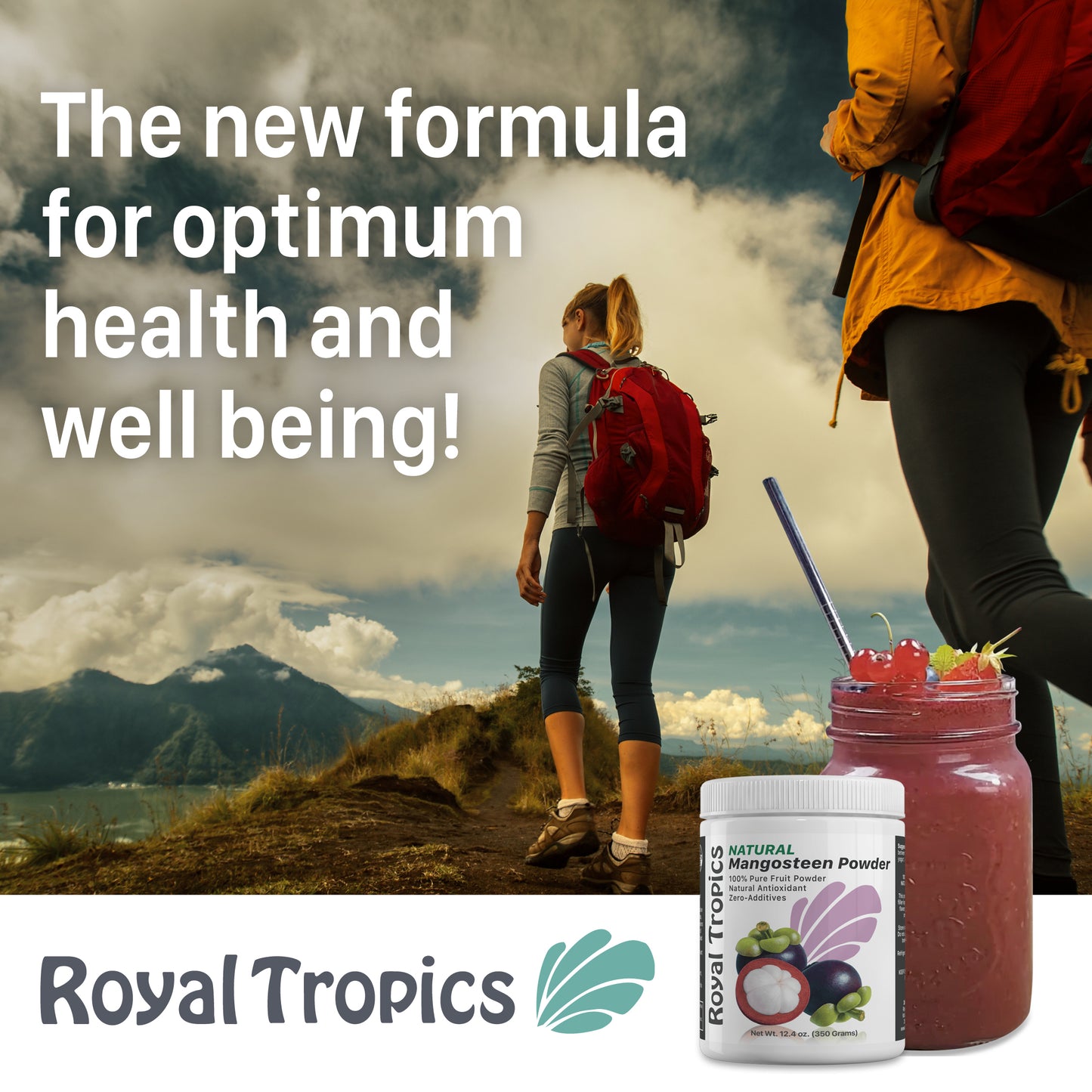 Mangosteen 100% Fruit Powder